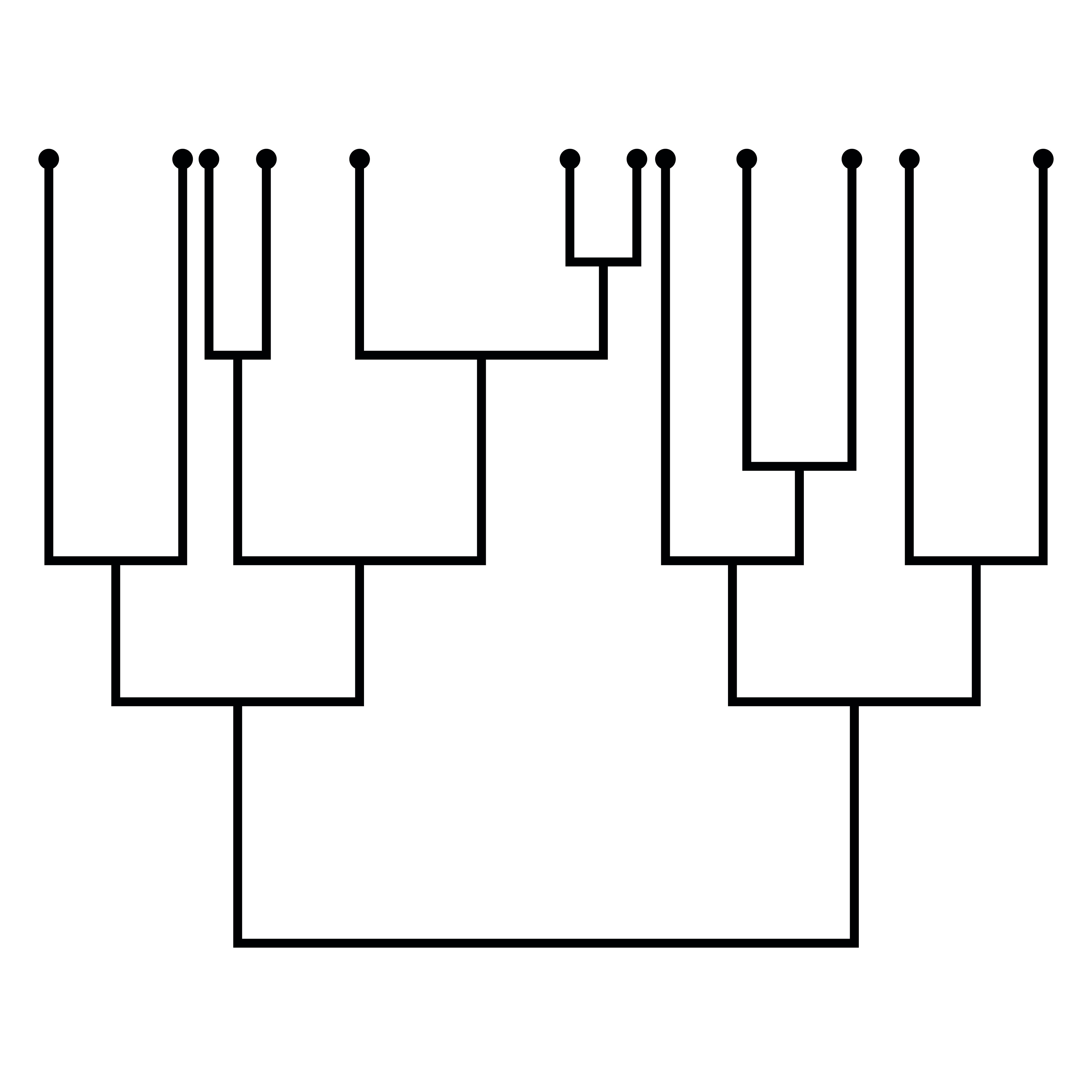 Human evolution project