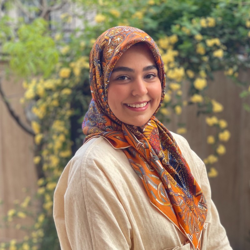 Narges Khatoon Shoaibi Nobarian